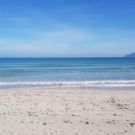 Ideal Property Mallorca - Avinguda Dels Pins 441 Playa de Muro  Dış mekan fotoğraf